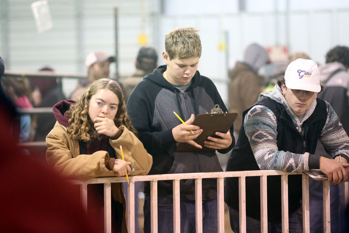FFA Livestock Judging (15).JPG